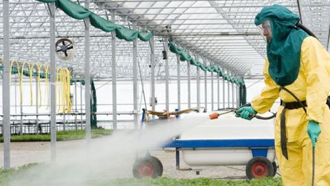 « Aujourd’hui, le cap à tenir c’est zéro incident matériel pendant l’application des produits phyto. Pour cela il faut des équipements de qualité, entretenus, mais également un engagement plus fort de la recherche et des constructeurs », insiste Carole Delaquez, de la MSA 49. ©MSA 